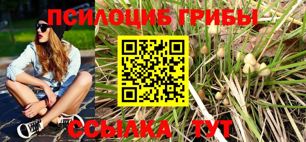 где можно купить наркотик  Галлюциногенные грибы Magic Shrooms  Вход с VPN  Псилоцибиновые грибы мицелий  Армавир 
