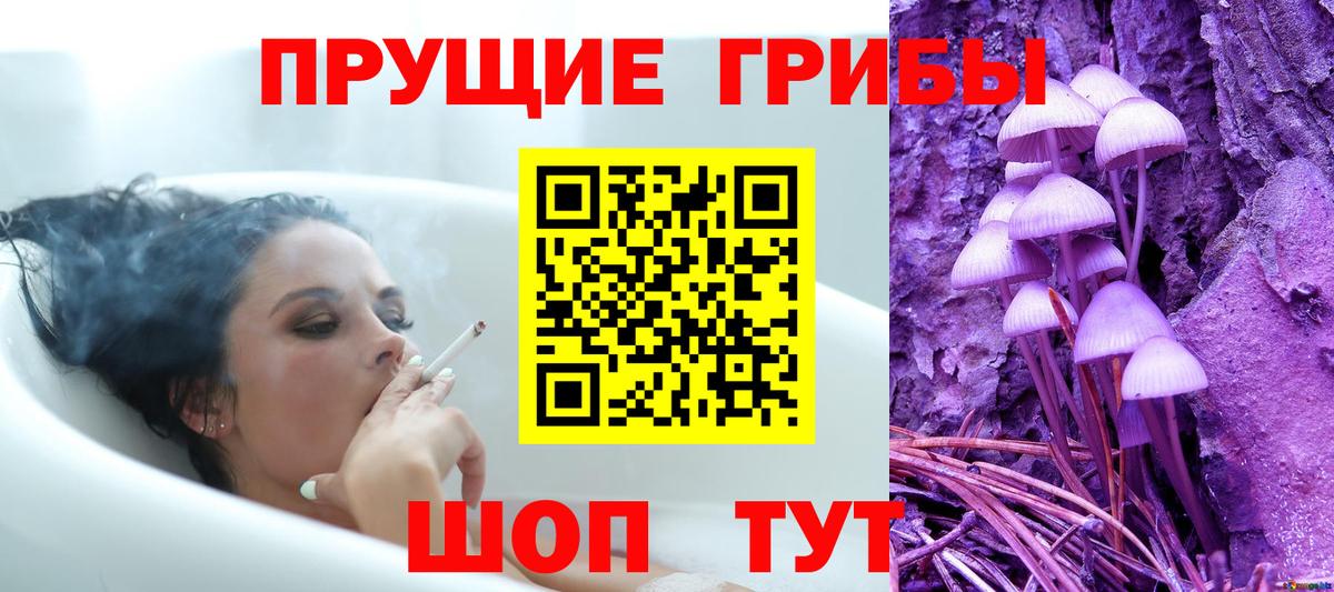 Галлюциногенные грибы Cubensis Армавир